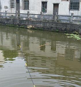 地插钓鱼被切线是什么原因