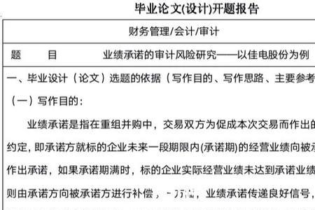 审计人员主要业绩