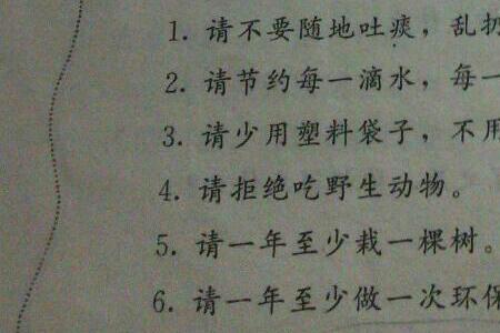 关于好奇的10条名言