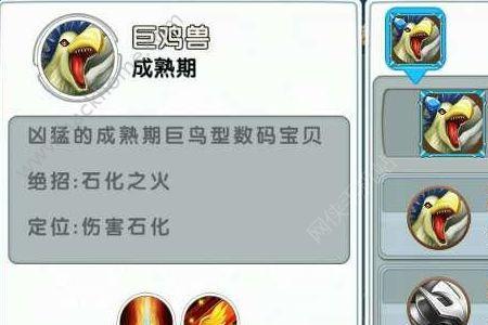 驯兽大赛八强赛阵容搭配