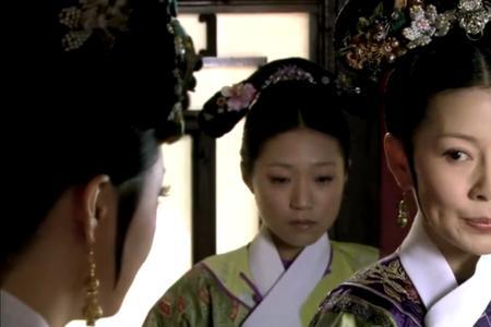 甄嬛传齐妃儿子叫什么