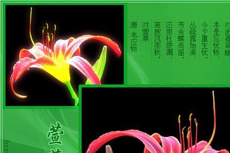 歌曲花的季节原唱
