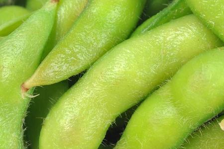 毛豆长到几公分开始掐头