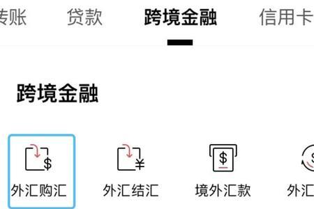 现金汇款是现汇吗
