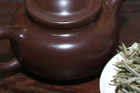 稀密白茶叶是什么茶