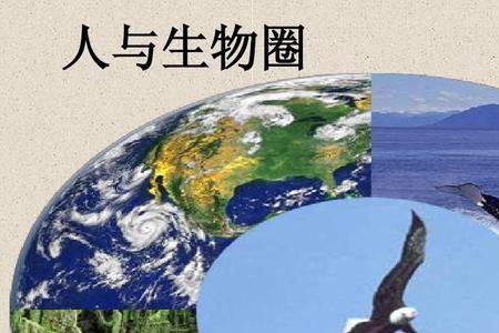 人在生物上属于哪一分类