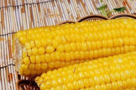 生玉米粘了还能吃吗