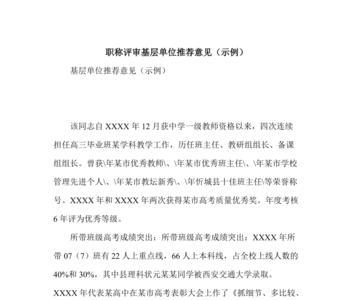 正高级职称考核意见
