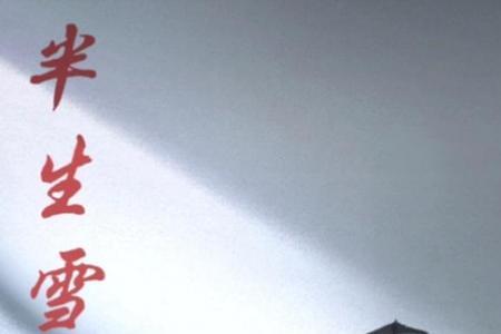 此去半生歌曲表达什么意思