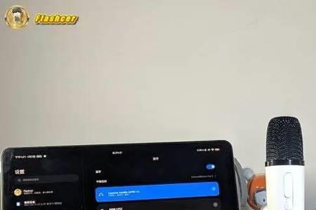 纯麦k歌无线麦克风有杂音