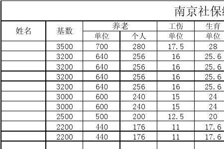 南山区个人参保缴费明细怎么查