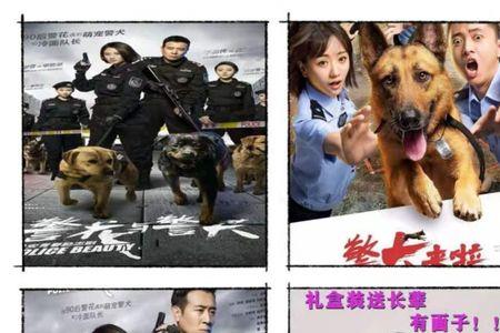 警花与警犬去银行是哪一集