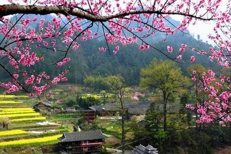 桃花源为什么后来找不到了