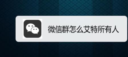 苹果手机怎么艾特所有人