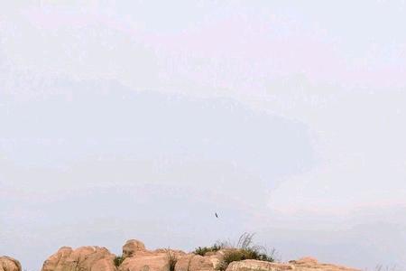 曲阜蜗牛谷有什么好玩的