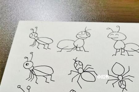 蚂蚁有哪些种类用画画或者文字