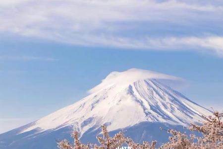 去富士山看樱花什么意思