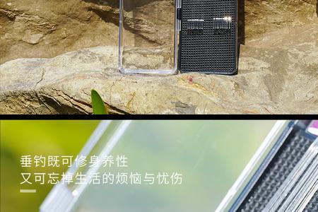 大鲤鱼子线最佳尺寸表