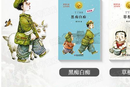 丁丁当当几年级