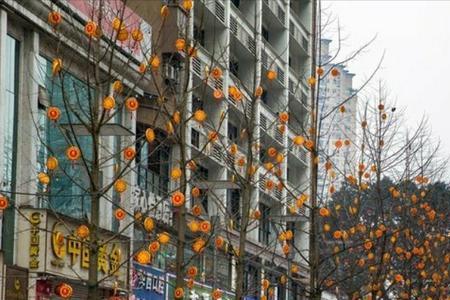 杨家坪最大超市