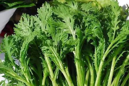 唐蒿菜和茼蒿菜区别