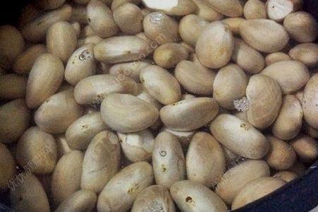 菠萝蜜的核放冰箱前要洗吗