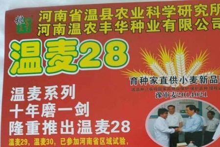 山农28与山缘农32哪个小麦品种好