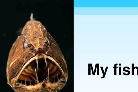 fish is fish这个故事的寓意
