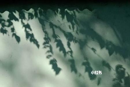 光与影的浪漫什么意思