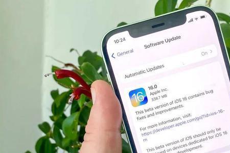 ios16开发版多久更新一次