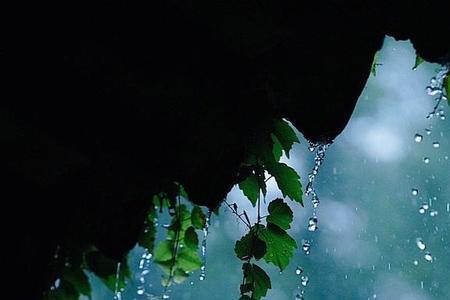 窗外的小雨一直什么地下