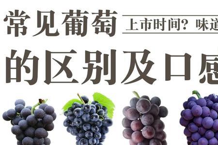 原叶葡萄和普通葡萄有什么区别