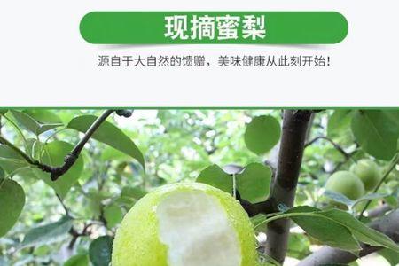 青冠梨和翠冠梨哪个好