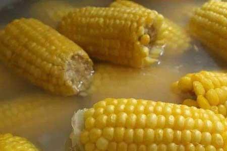 玉米粒煮多久熟