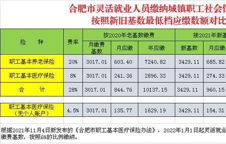 山西灵活就业人员社保怎么填写