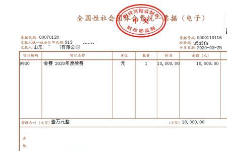怎么开江苏省财政电子票
