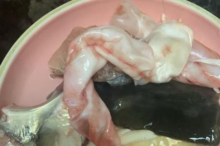 每天换水为什么有鱼泡