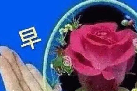 异性发早上好怎么回复