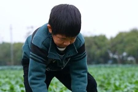 大萝卜坑埋前如何处理