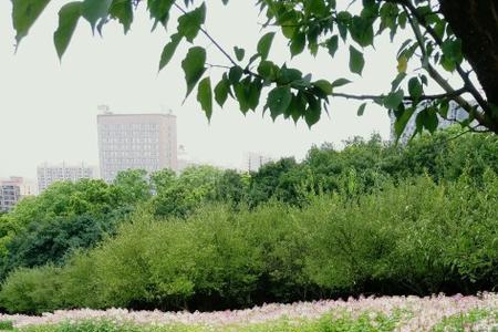 成都植物园7月份适合去吗
