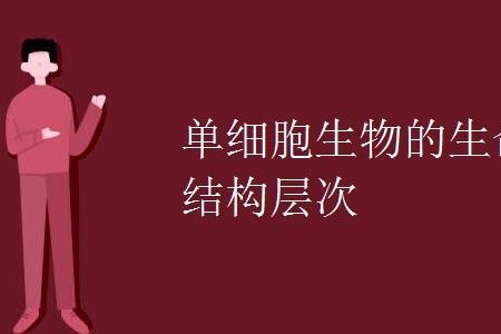 网络上的单细胞生物什么意思