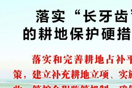 一号文件指出一般耕地用于什么