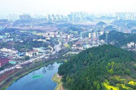 宜昌柏临河湿地公园好玩吗
