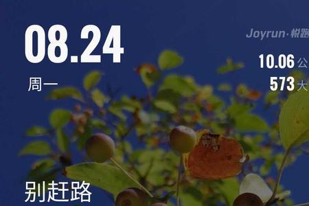 不赶路用心感受路下一句