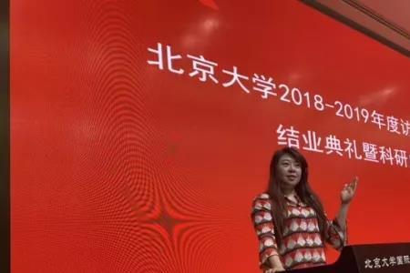 北大访学什么意思