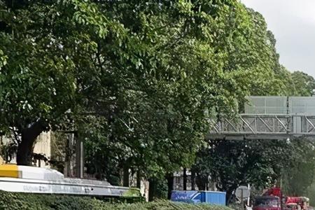 误入龙东高架路可以掉头吗