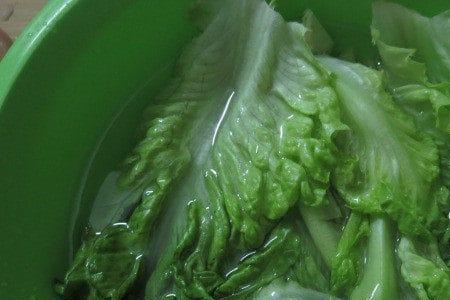 腌生菜杆防霉的方法