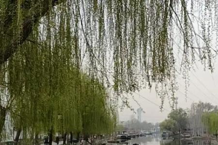 微山湖是饮用水水源吗