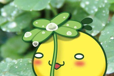 一把小雨伞原唱是谁