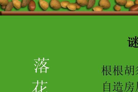 关于粽叶的谜语